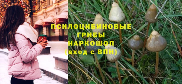 стафф Алексеевка