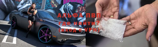 гашик Алексин