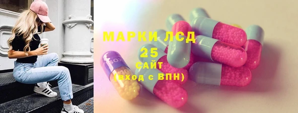 дмт Алзамай