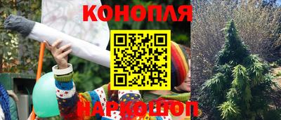 спайс Новозыбков