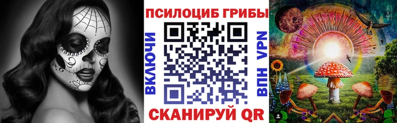 где можно купить наркотик  Шебекино  Псилоцибиновые грибы прущие грибы 