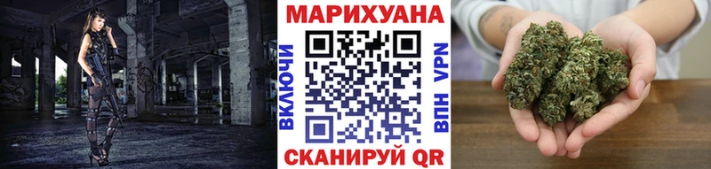 Канабис гибрид  Шебекино 